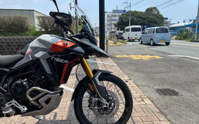 TRIUMPH TIGER 900 RALLY PRO 2025 TRC83D