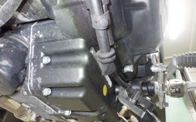 DUCATI SCRAMBLER 2023