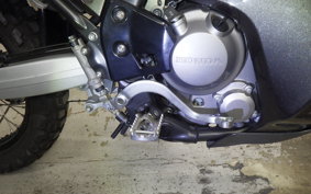 HONDA CRF250 RALLY LDA 2006 MD44