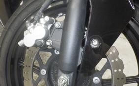 KAWASAKI NINJA 250R 2025 EX250K