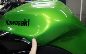 KAWASAKI NINJA 1000 2011