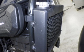 HONDA CL250-2 2017 MC57