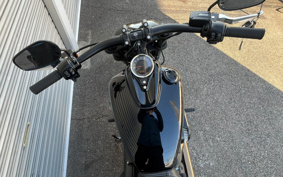 HARLEY FXFBS 2025 YLK