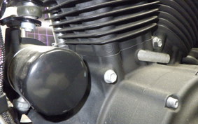 HARLEY XL883N 2019