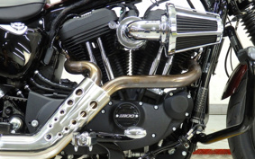 HARLEY XL1200NS 2019 LP3
