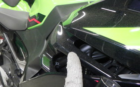 KAWASAKI NINJA 400 2019 EX400G