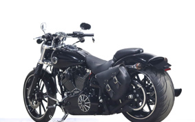 HARLEY FXSB 2015 BF5