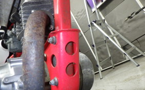 HONDA APE 50 2022 AC16