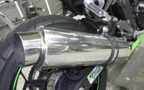 KAWASAKI NINJA 250 EX250L