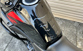 SUZUKI STROM 250 DS11A