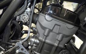 HONDA REBEL 250 2010 MC49