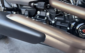 HARLEY FXDR114 2019 YVK
