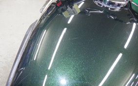 KAWASAKI W800 2015 EJ800A