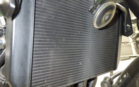 KAWASAKI Z900 Gen.2 2019 ZR900B