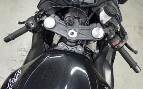 KAWASAKI NINJA ZX-6R A 2019 ZX636G