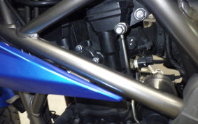 KAWASAKI Z250 SL 2023 BR250E