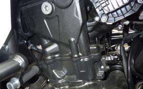 HONDA TRANSALP XL750 2024 RD16