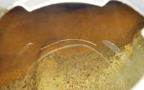 HONDA CB400SF VTEC 2012 NC42