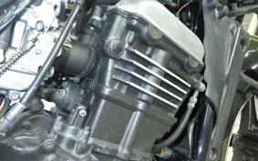 KAWASAKI ELIMINATOR 250 SE 2022 EL250A