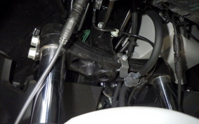 HONDA FORZA 250 MF17