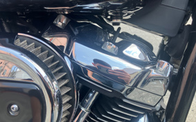 HARLEY FLFBS 2021 YGK
