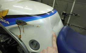 HONDA CBR400F GEN 1 1987 NC17