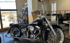 HARLEY HARLEY KIT BIKE 2017 110