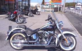 HARLEY HARLEY FLSTN1340-1450 2012 JD5