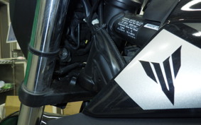 YAMAHA MT-25 2022 RG10J