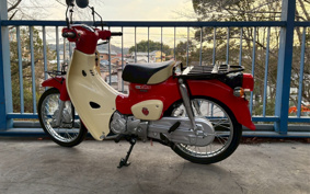 HONDA SUPER CUB110 JA44