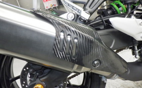 KAWASAKI ZX-4RR 2024 ZX400P