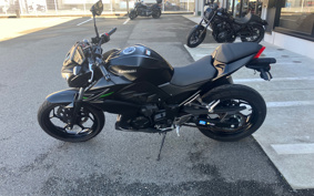 KAWASAKI Z250 ER250C