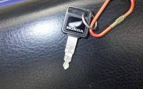 HONDA TLR200 2024 MD09