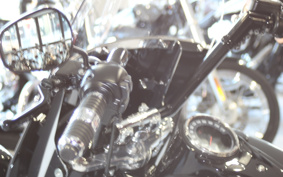 HARLEY FLHCS 1988 YBK