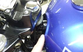 KAWASAKI ESTRELLA RS
