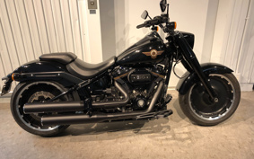 HARLEY FLFBS 2020 YRK