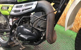 SUZUKI HUSTLER250 TS2504