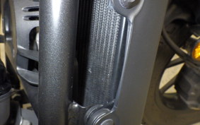HONDA REBEL 250 S 1995 MC49