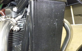 TRIUMPH BONNEVILLE T100 2024