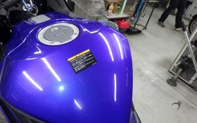 YAMAHA YZF-R25 A RG43J