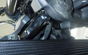 KAWASAKI Z900RS 2024 ZR900K