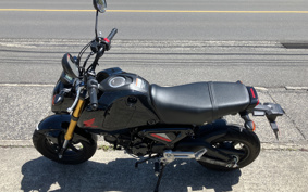HONDA GROM JC92