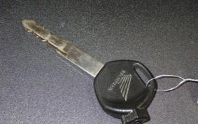 HONDA TACT-4ﾍﾞｰｼｯｸ AF79