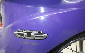 HONDA C110 SUPER CUB 2004 JA07