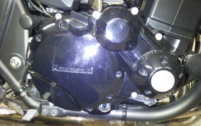 KAWASAKI ZRX1200 D 2010 ZRT20D