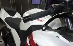 KAWASAKI NINJA 250 2021 EX250Y