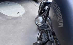 HARLEY XL883N 2018 LE2