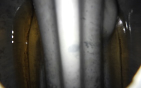 HONDA XE75 2023 CE75