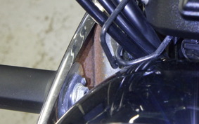 KAWASAKI W800 2025 EJ800E