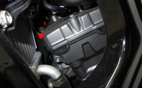 HONDA CRF250 RALLY A 2006 MD44